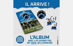 LOT DE 10 POCHETTES de VIGNETTES (1 euro / pochette)