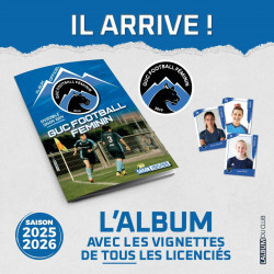 LOT DE 10 POCHETTES de VIGNETTES (1 euro / pochette)